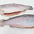 Форель б/г потрошеная 2,7-3,6 премиум (морская форель)