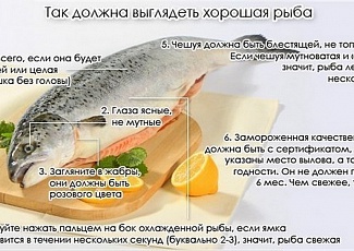 Как правильно выбирать рыбу?